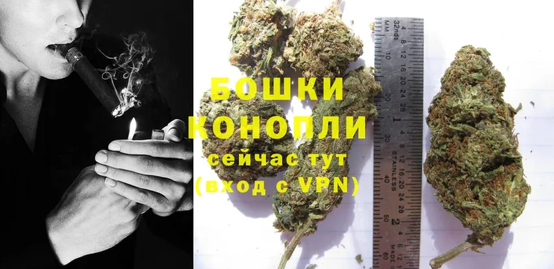 купить наркотик  ссылка на мегу   Бошки Шишки Ganja  мориарти наркотические препараты  Кедровый 